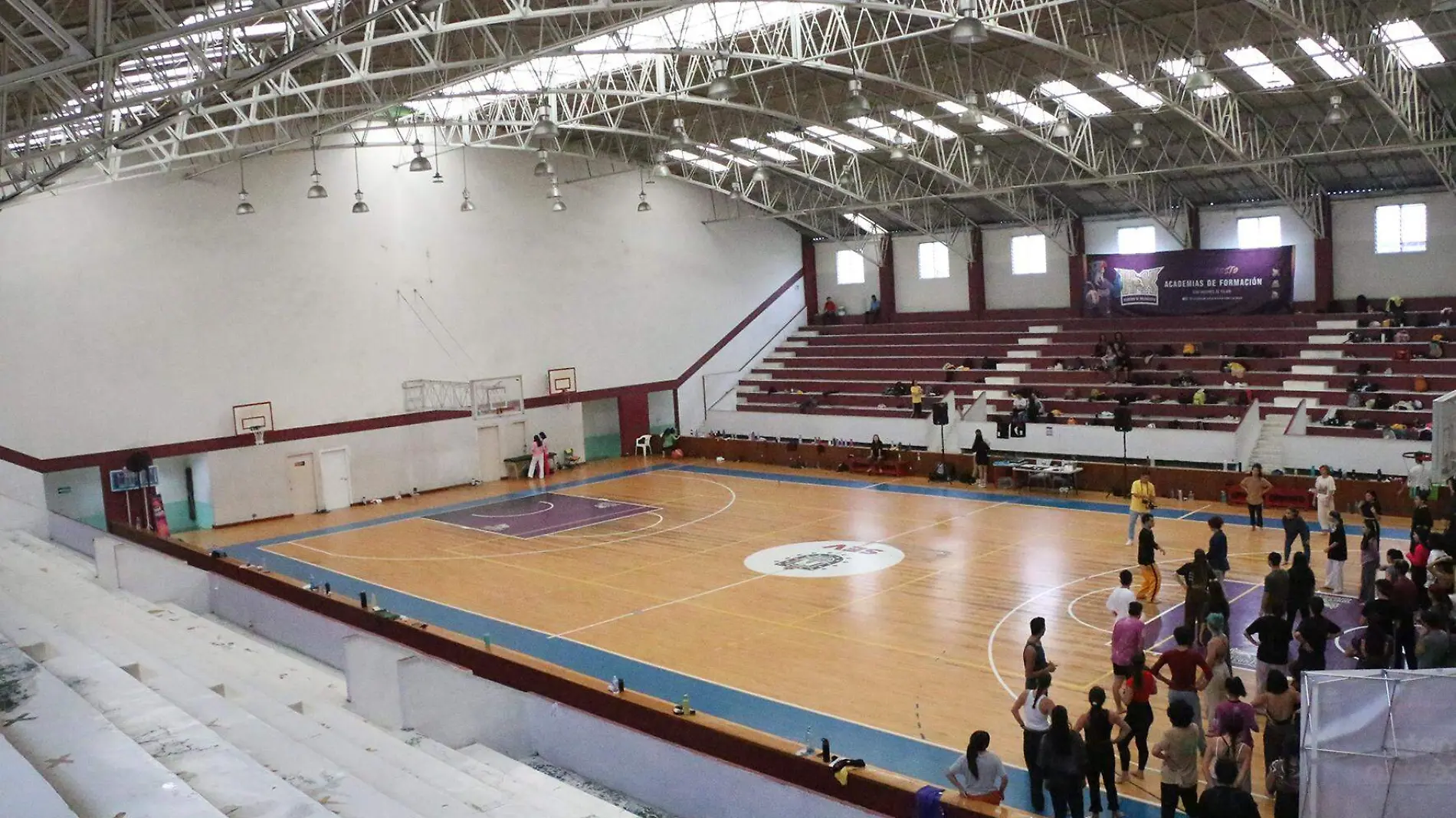 david- Gimnasio Allende 